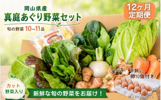 
                  【12カ月定期便】真庭あぐり野菜セット カット野菜が1品入る 10～11品 平飼い卵付き / 産地直送 農家 お試し 岡山県 新鮮 あぐりガーデン 国産 【配送不可地域：北海道／沖縄県／離島】 【jujy-tkb064】
                