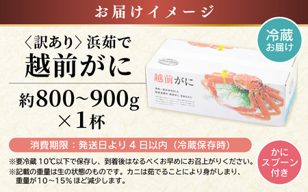 【先行予約】【訳あり】≪浜茹で≫ 天然 越前がに 約800g～900g × 1杯 かにスプーン付き 【2025年3月上旬以降順次発送予定】 はるか丸の船長が厳選！【足折れ】【冷蔵 本場の味 ボイル 越