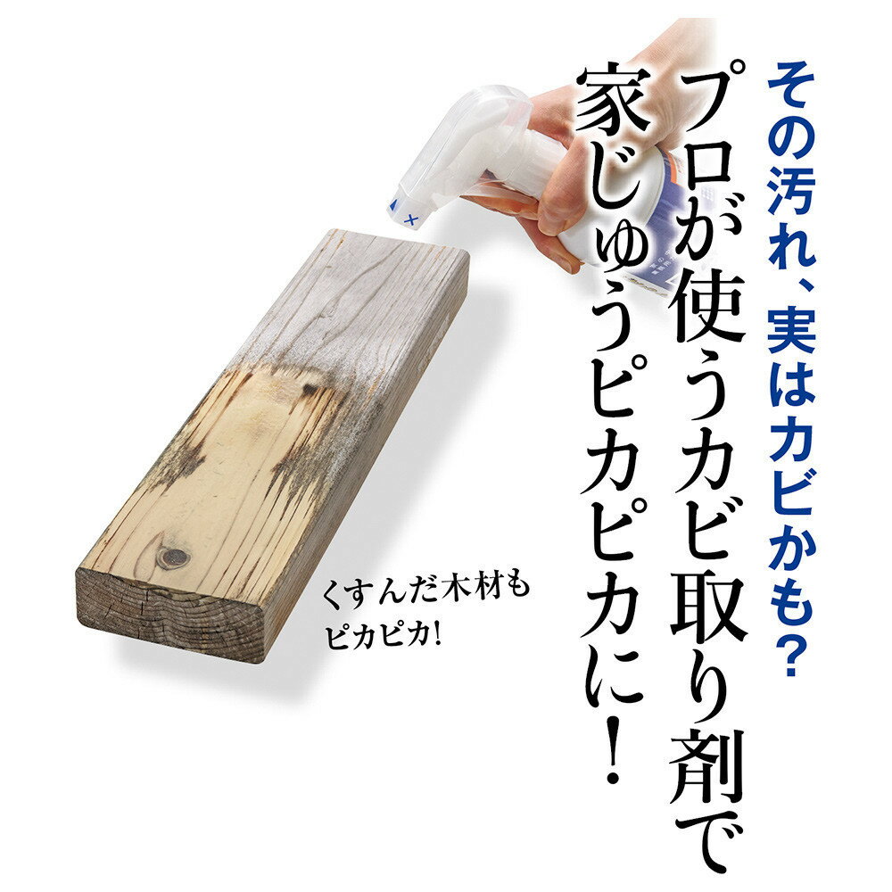 【ふるさと納税】ビーオ4Lボトル_1330802709_00 | 日用品 人気 おすすめ 送料無料