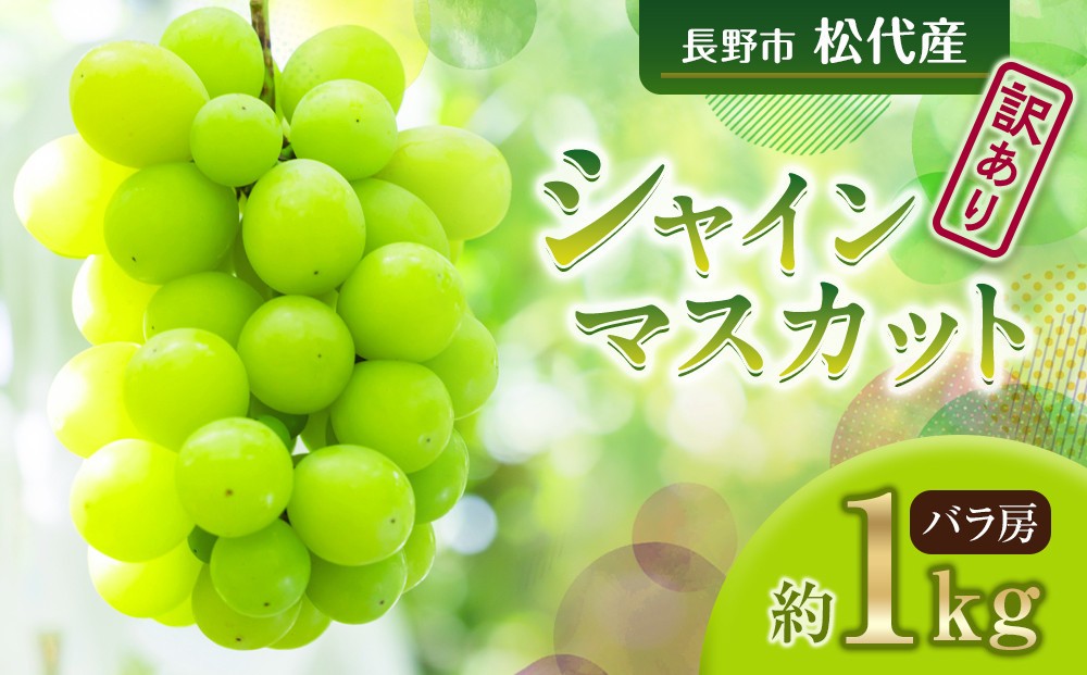 
                  高野農園　長野市松代産 訳ありシャインマスカット 約1kg（バラ房） | 訳あり 葡萄 ぶどう ブドウ フルーツ 果物 シャインマスカット 人気 おすすめ 果物 長野県 長野市 信州 信濃 ふるさと納税
                