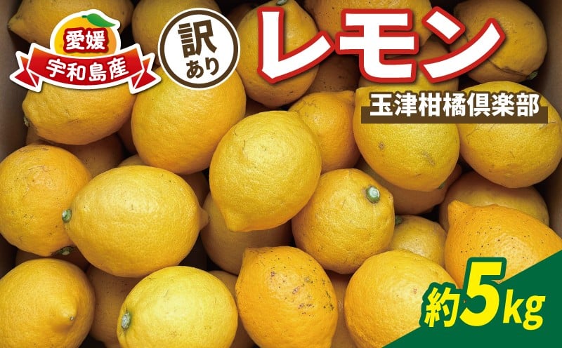 
            訳あり レモン 約5kg 玉津柑橘倶楽部 先行予約 サイズ 不揃い 訳アリ れもん 檸檬 remon 酸味 爽やか 果実 サワー ジュース チューハイ 果物 くだもの フルーツ 柑橘 愛媛蜜柑 愛媛みかん わけあり 訳あり品 産地直送 数量限定 国産 愛媛 宇和島 B010-072045
          