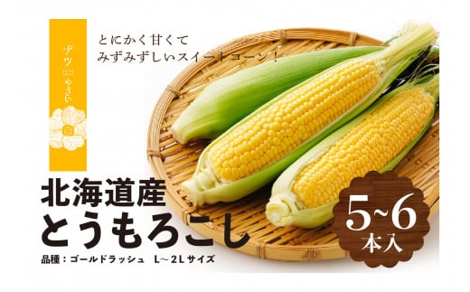 
【R6年収穫分】　ナツやさい　8月の旬　トウモロコシ　5〜6本　さの農場/006-22295-b01A
