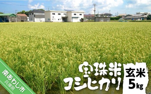 宝珠米コシヒカリ　玄米5キロ