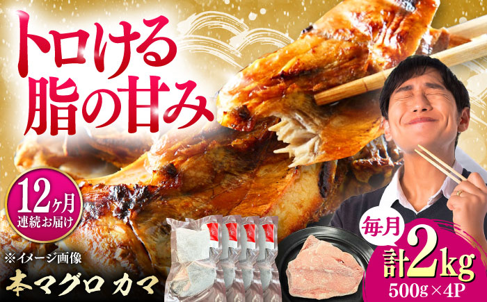 【全12回定期便】対馬産 本マグロ カマ 2kg ≪対馬市≫【桐谷商店】 トロの華 対馬 新鮮 マグロ かま 鮪 [WAQ106]