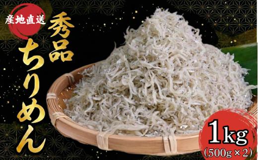 【産地直送】 【秀品】ちりめん 1kg（500g×2） 冷蔵 国産 徳島県産 新鮮 鮮度 しらす 魚 魚介類 小魚