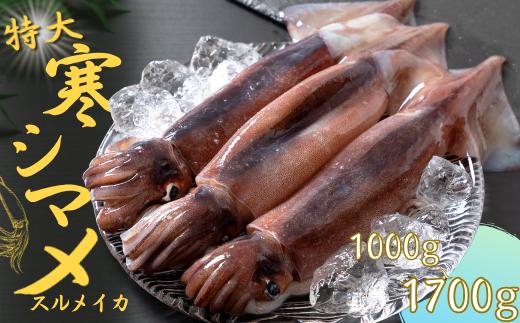 
            【朝どれ寒シマメ 特大サイズ】 1kg以上 いか イカ スルメイカ 朝どれ寒シマメ 御歳暮 ギフト 12月24日までのご注文で年内発送
          