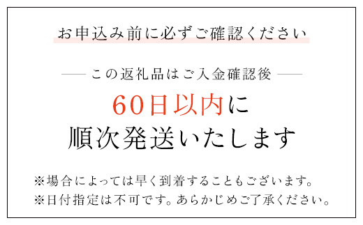 肌ケアアクティ　紙パンツ用尿とりパッド消臭抗菌プラス　2回分吸収　34枚×6パック（介護用品）/ ふるさと納税 大人用紙 尿とりパッド 紙パンツ用 おむつ用 おむつ 介護用品 介護用パッド 介護 紙パ