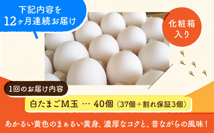 【全12回定期便】【化粧箱入り】白たまご M玉 40個（37個＋3個割れ保証）【株式会社 かもと養鶏】 [ZCA012]