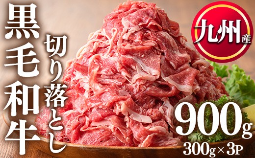 
                  No.1015 九州産黒毛和牛切り落とし(計900g・300g×3P) 牛肉 切落し 切り落し 和牛 冷凍 国産 九州産 小分け 国産牛 お肉 牛丼 野菜炒め カレー 冷凍 寄附額改定【LRプラスK】
                