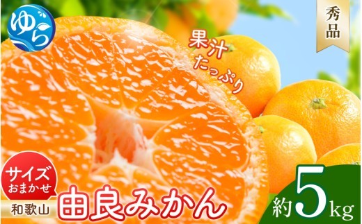 
                  由良みかん 秀品 5kg サイズおまかせ(Ｌ・М・Ｓ) / 和歌山 みかん 柑橘 高級 甘い オレンジ 由良 完熟 ※2026年11月下旬～2027年1月上旬頃に順次発送予定【ssml004-yura-r-5ml137】
                
