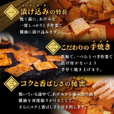 ふるさと納税 門川町 門川浜焼き　ピリ辛しょうゆじゃこ天(5枚入×5P) |  | 01