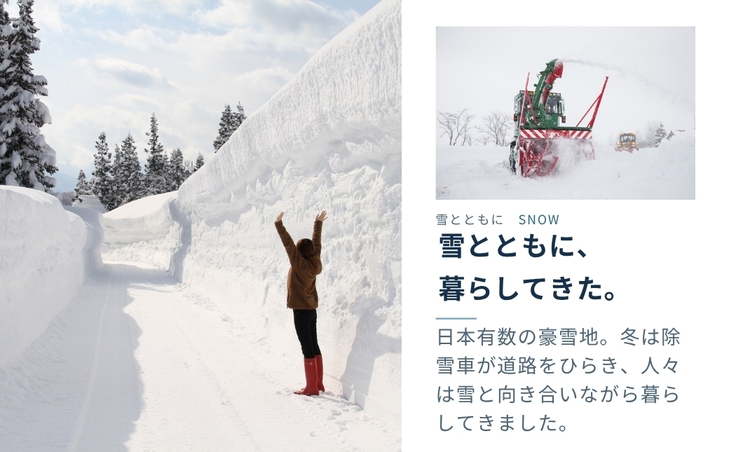 春、雪の中から掘りおこした【雪の下人参】だけを使用！