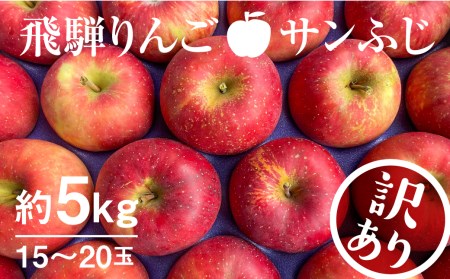 【12月~1月上旬発送】《令和8年産》りんご 訳あり 5kg / 果物 フルーツ 黒内果樹園 [DI030-26]