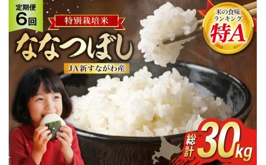 
                  米 ななつぼし 令和8年 特栽米 6回 定期便 JA新すながわ産 特栽米ななつぼし 5kg×6回 総計30kg [ホクレン商事 北海道 砂川市 12260796] 令和8年産 定期 お米 コメ 白米 ごはん ご飯 国産  米 こめ kome おこめ
                