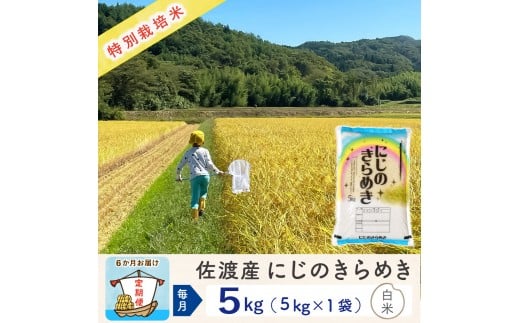 【新米予約 6か月定期便】佐渡島産にじのきらめき 白米5Kg 令和7年 特別栽培米 農家直送
