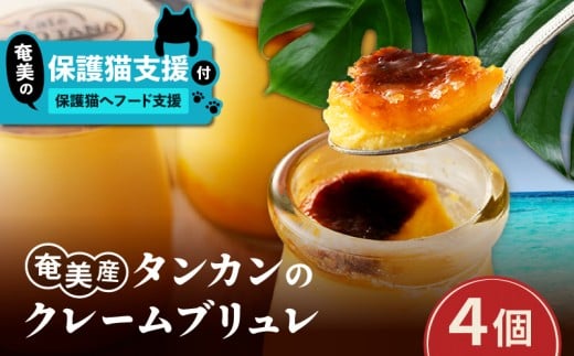 【奄美の保護猫支援（保護猫フード10日分）】＋奄美産タンカンのクレームブリュレ（4個入り）　A071-002-01