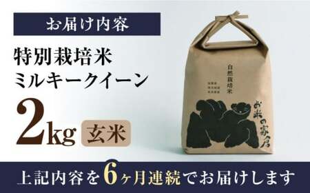 【令和6年度産】【全6回定期便】自然栽培米ミルキークイーン　2kg玄米×6回　滋賀県長浜市/株式会社お米の家倉[AQCP009]