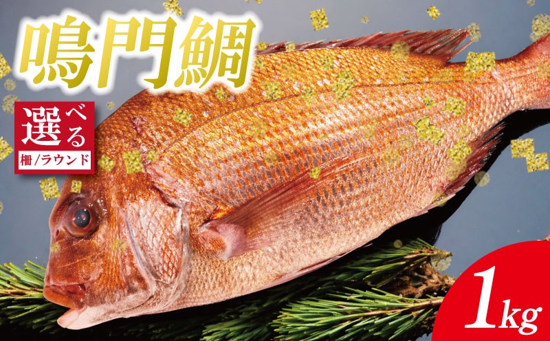 
                  鳴門鯛 1kg 《 選べる！ 柵 / ラウンド 》 鯛 1尾～2尾 刺身 タイ 天然 鳴門 鯛 下処理 対応 塩焼き 鯛めし 祝い鯛 おせち 正月 しゃぶしゃぶ 鯛しゃぶ 鍋 年末年始 徳島 魚 市場
                