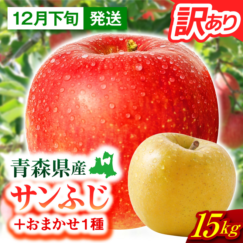 【2026年12月下旬発送】【訳あり】 りんご 15kg 詰め合わせ 計2種(サンふじ と 他1種) 不揃い フルーツ 家庭用