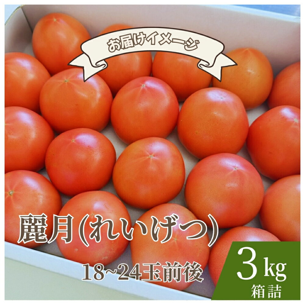 【ふるさと納税】【糖度7度以上】麗月トマト 3kg｜冬期育ちの濃厚な甘み・産地直送の完熟トマト