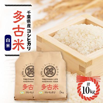 ふるさと納税 多古町 新米　令和7年産　 たこまいらいふ萩原農場の多古米コシヒカリ(精米)10kg