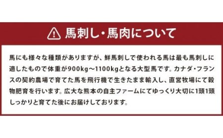 馬刺しバラエティー 約980g 馬刺し 馬刺 馬肉 セット