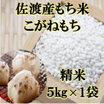 ふるさと納税 佐渡市 【令和7年産】佐渡産もち米 こがねもち 精米 5kg×1袋