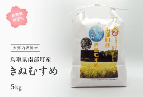 南部町産 大河内源流米 きぬむすめ（5kg）＜令和6年産収穫予約＞