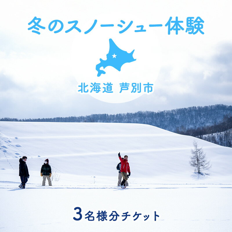 【ふるさと納税】体験 北海道 冬季限定！ スノーシュー 体験チケット 3枚 (3名様参加可能) ioru 体験型 旅行 子供 大人 動物 アクティビティ アウトドア スポーツ ギフト券 チケット 券 絶景 初心者 遊び 散歩 雪景色 自然 リフレッシュ 芦別市
