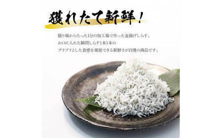 釜揚げしらす 500g × 2パック 高知県産 【しらす】