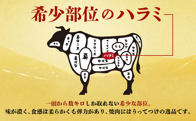 ヤマジュウの特製タレ漬け！牛ハラミ肉５００ｇ【６回定期便】 頒布会