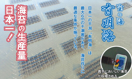 氷結 有明海産「おさしみ生海苔」（20g×4袋）乃市商店 A080-018