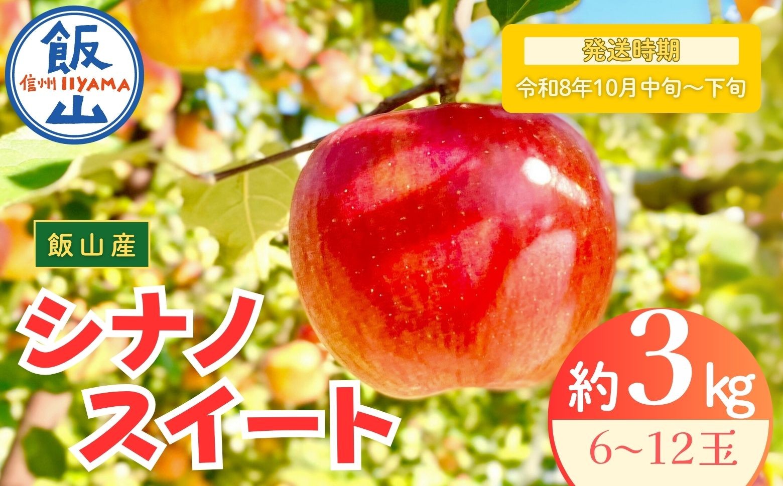 
            【先行予約丨2026年10月中旬より順次発送】シナノスイート【約3kg (6〜12玉)】(At-011)丨長野県 飯山市 おすすめ ランキング おいしい 高評価 大人気 先取り 産地直送 りんご
          