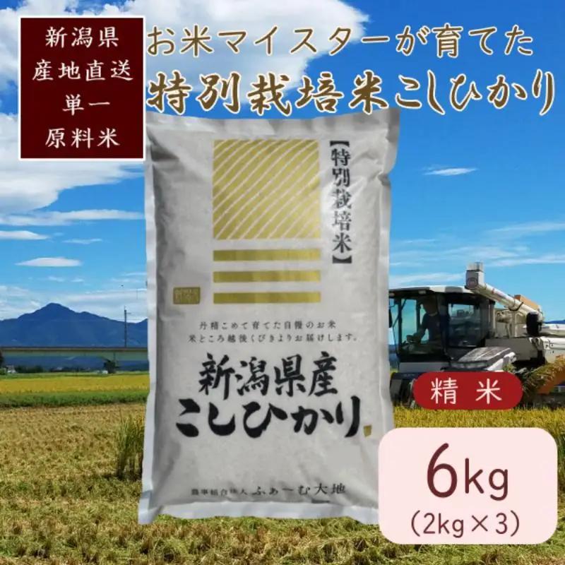 お米マイスター コシヒカリ 上越頸城産 白米6kg コシヒカリ