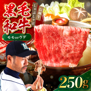 たかどや牧場産 黒毛和牛 信州牛 しゃぶしゃぶ ( モモ または ウデ ) 250g | 長野県 飯田市