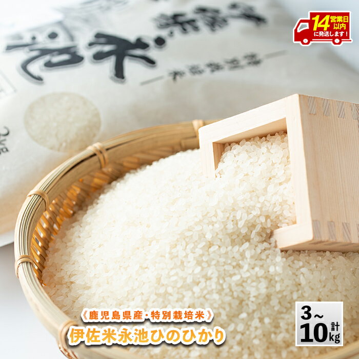 【ふるさと納税】＜14営業日以内に発送！＞《内容量が選べる・数量限定》令和7年産 特別栽培米 伊佐米永池ひのひかり(3kg/5kg/10kg) 伊佐市 永池 特産品 伊佐米 九州米サミット 食味コンテスト 最優秀賞受賞 ヒノヒカリ 【エコファーム永池】
