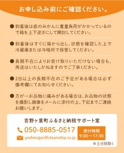 【先行予約・26年10月以降順次発送】佐賀県産 中生みかん 10kg 吉野ヶ里町/リエンサーク [FCC009]