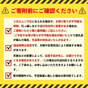 【 2026年 先行予約 】 白とうもろこし 12本 【 ホワイトコーン 】