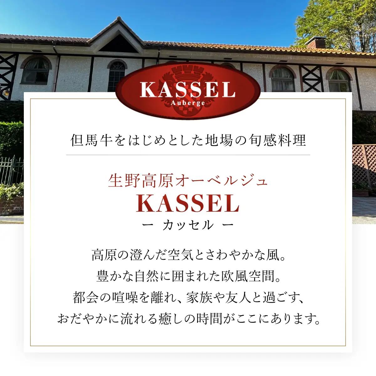 銀山町の復刻 但馬牛ハヤシライス＜5袋セット＞但馬牛 ハヤシライス 牛肉 朝来市 生野 生野高原 カッセル レストラン品質 ナチュラルリゾートオーベルジュ 兵庫県 朝来市 AS14CA26