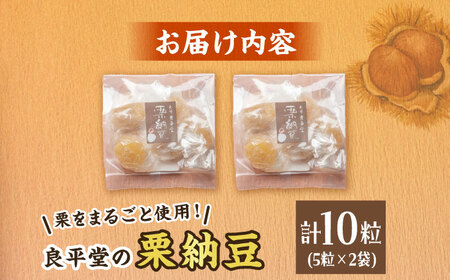 栗納豆 5粒入 2箱 / 恵那市 / 良平堂 [AUDB033] 栗納豆