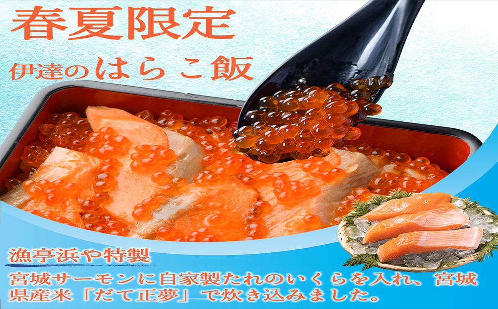 みやぎ飯【先行予約】【宮城さーもん】伊達のはらこ飯　４人前