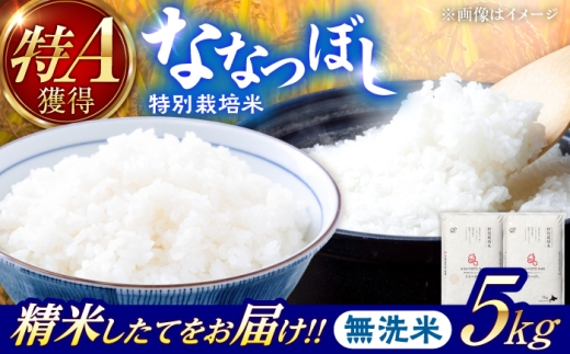 【令和8年産】【新米】農家直送！特別栽培米ななつぼし【無洗米】5kg | 株式会社きしもとファーム [BOBB014]