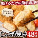 【ふるさと納税】じゃころっけ(計48個)鳥取県 境港市 コロッケ ちりめん おかず 惣菜 小分け 揚げるだけ 簡単調理 便利 冷凍【sm-CD006】【羽根】