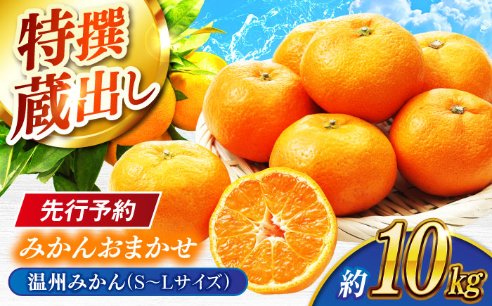 
【先行予約】特撰蔵出しみかんおまかせ 亀山市/服部果樹園 みかん 蔵出し 送料無料 [AMAR002]
