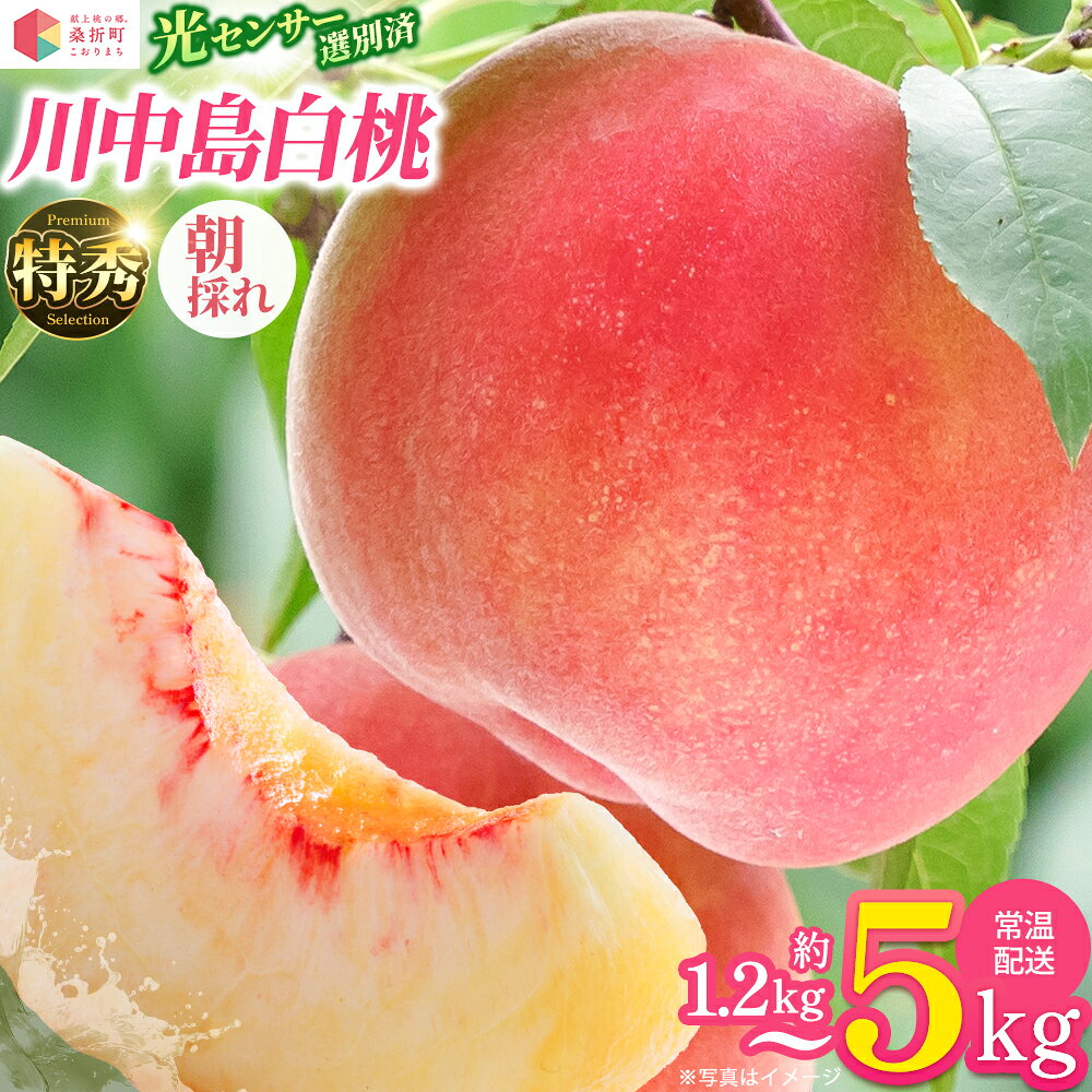 【ふるさと納税】【選べる内容量】もも【川中島白桃・2027年産先行予約】特秀 1.2kg/1.5kg/3kg/5kg　桑折町産 JAふくしま未来 桃 / モモ 果物 フルーツ 旬 甘い 甘み ジューシー 果肉 果汁 朝採り 新鮮 フレッシュ デザート 産地直送 福島県 【0098・100・0138・0227】