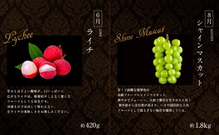 南国宮崎 旬の《至高》フルーツ定期便 偶数月コース（計6回） 【F96】