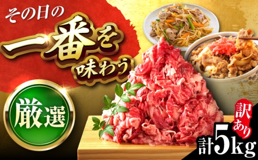 博多和牛 切り落とし 5kg (500g×10パック) 吉富町/株式会社MEAT PLUS [BGAB040] 牛肉 肉 切り落とし 小分け 訳あり わけあり 牛 お肉 きりおとし 国産 国産牛 人気 おすすめ 福岡県
