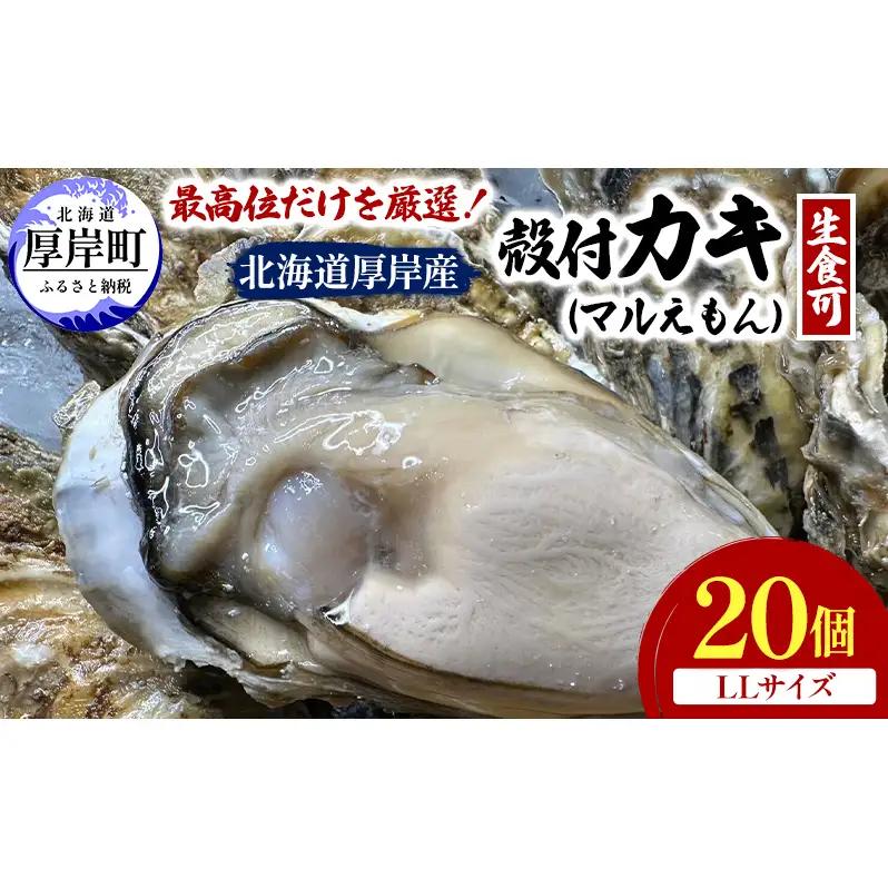 殻付き 牡蠣 LLサイズ 20個 【光輝】マルえもん 生食用 牡蠣
