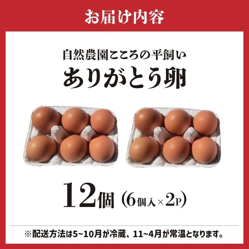 自然農園「こころ」の平飼い『ありがとう卵』 12個（6個×2パック）