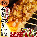 【ふるさと納税】やまさきのやきとり計70本(計2.5kg以上)！肉 鶏肉 鳥肉 焼鳥 たれ タレ 塩 しお もも 皮 とり皮 ぼんじり しそつくね せせり 小肉 豚 砂ずり 食べ比べ 冷凍 小分け パック 加工品 調理済 総菜 おかず バーベキュー【やまさき】